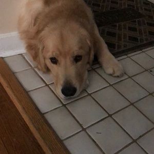 Meet your Posher, Brian